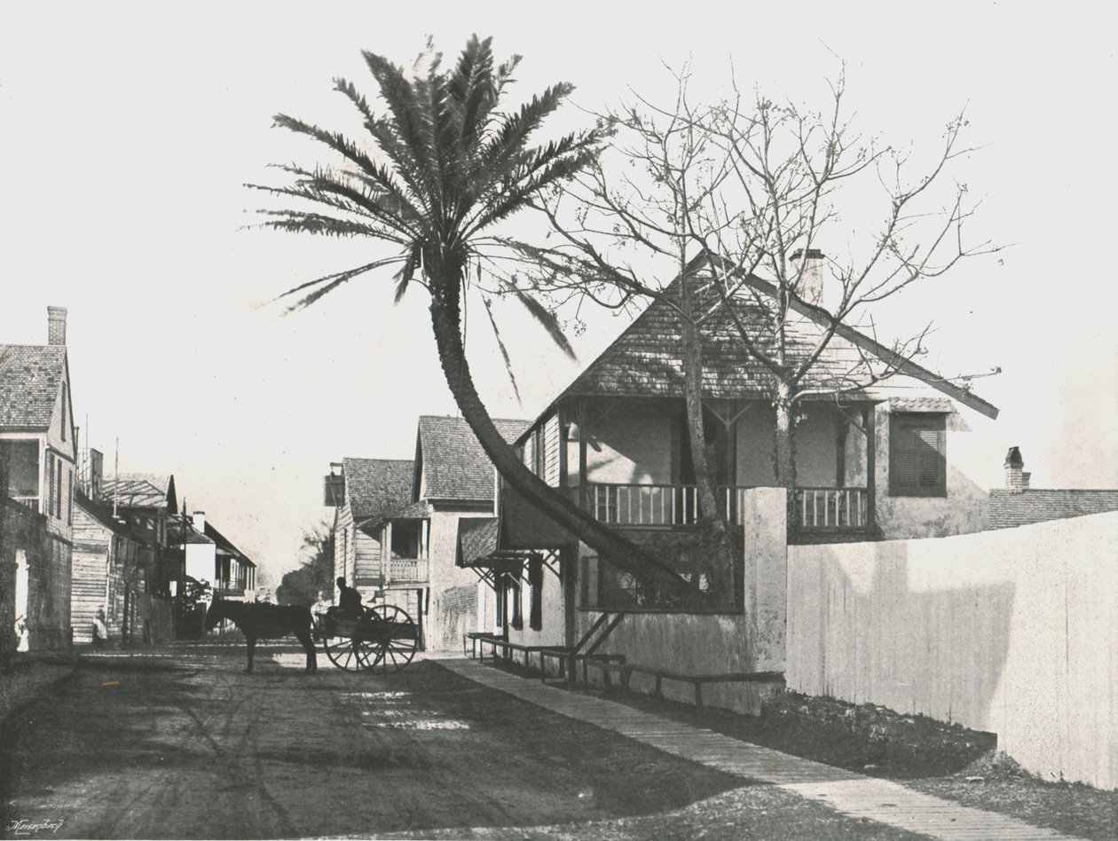 شارع فرانسيس ، سانت أوغسطين ، الولايات المتحدة الأمريكية ، 1895. بواسطة غير معروف