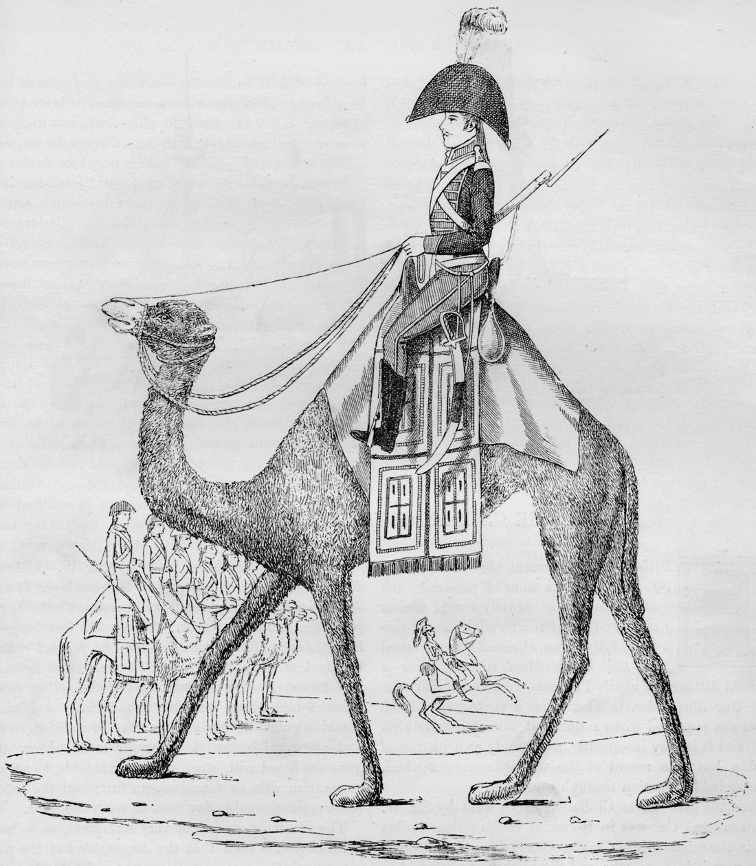 فوج القبة الفرنسية. تم القبض عليه بقافلة في الصحراء الليبية ، مايو 1801 ، 1884 بواسطة غير معروف