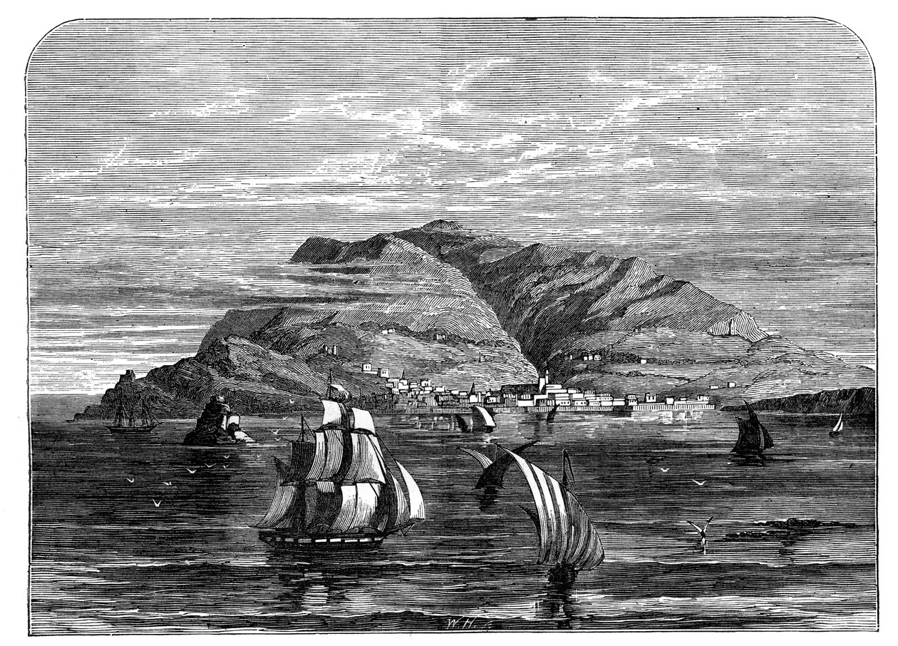 فونشال ، ماديرا ، c1890 بواسطة غير معروف