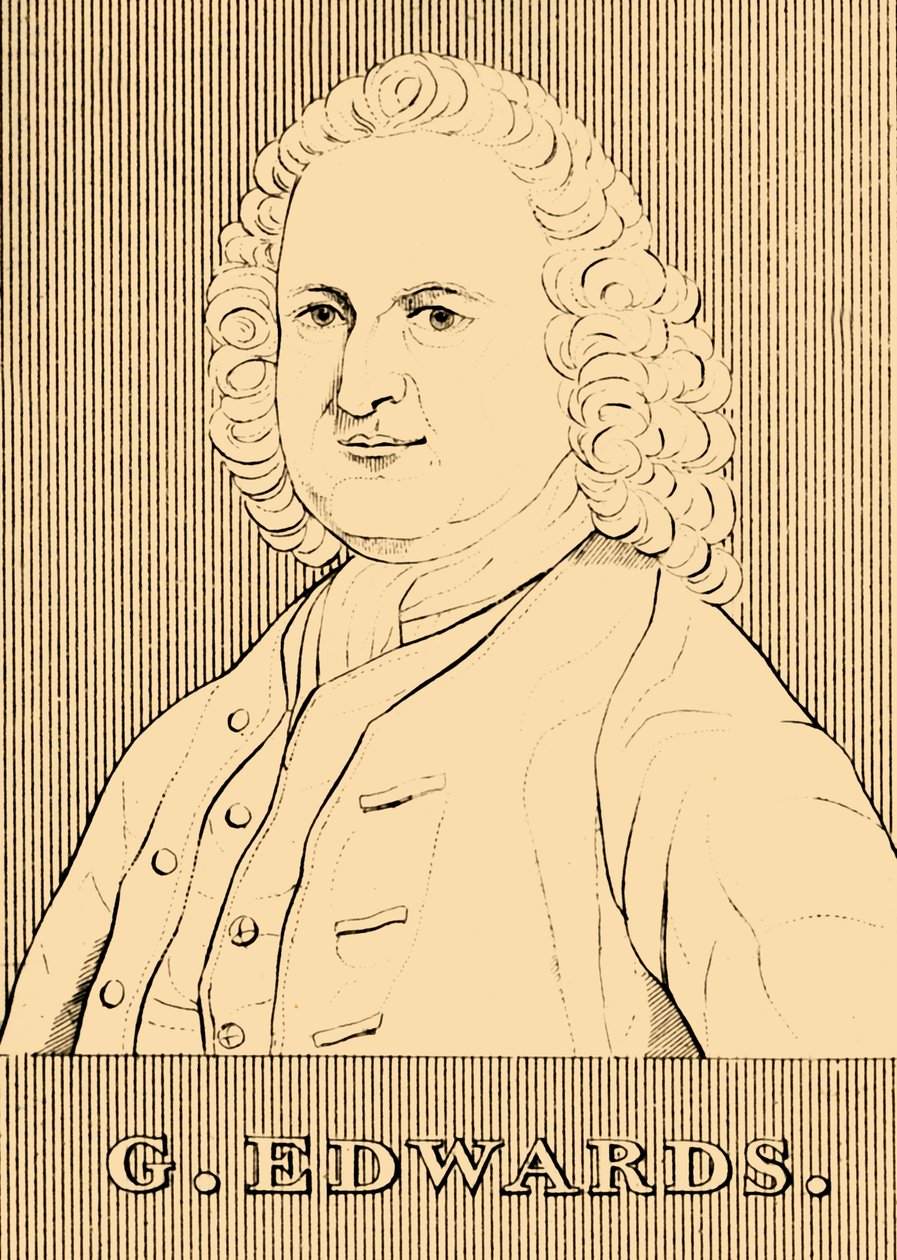 إدواردز ، 1694-1773 ، 1830. بواسطة غير معروف