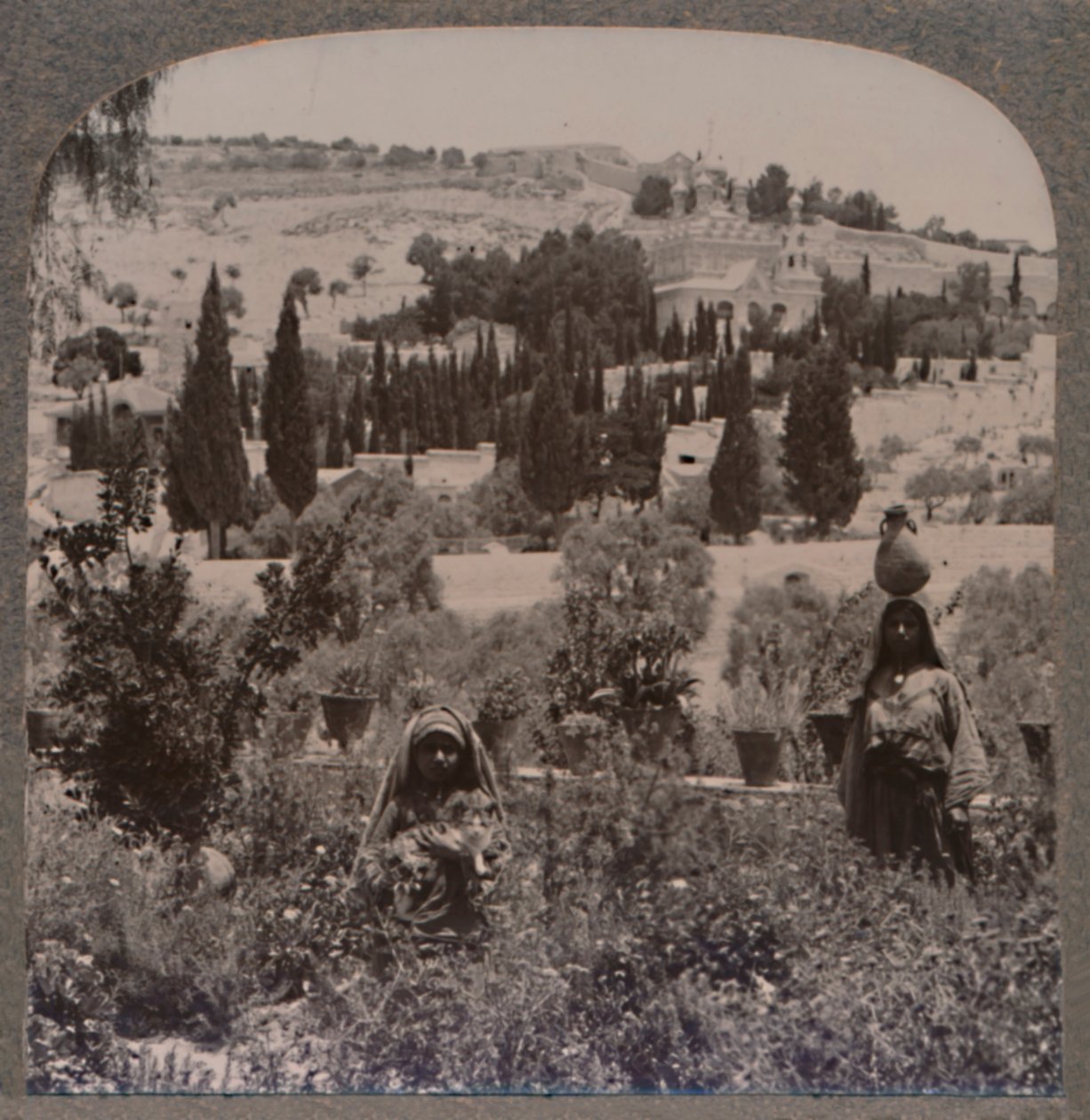 حديقة الجثمانية وجبل الزيتون من الحدائق اليونانية ، c1900 بواسطة غير معروف