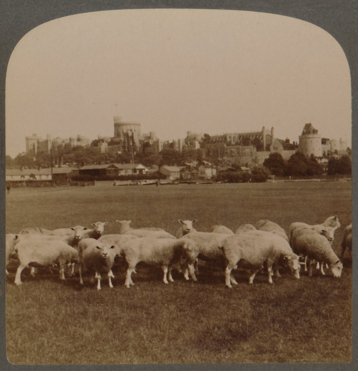 منظر عام لقلعة وندسور ، إنجلترا ، 1896. بواسطة غير معروف