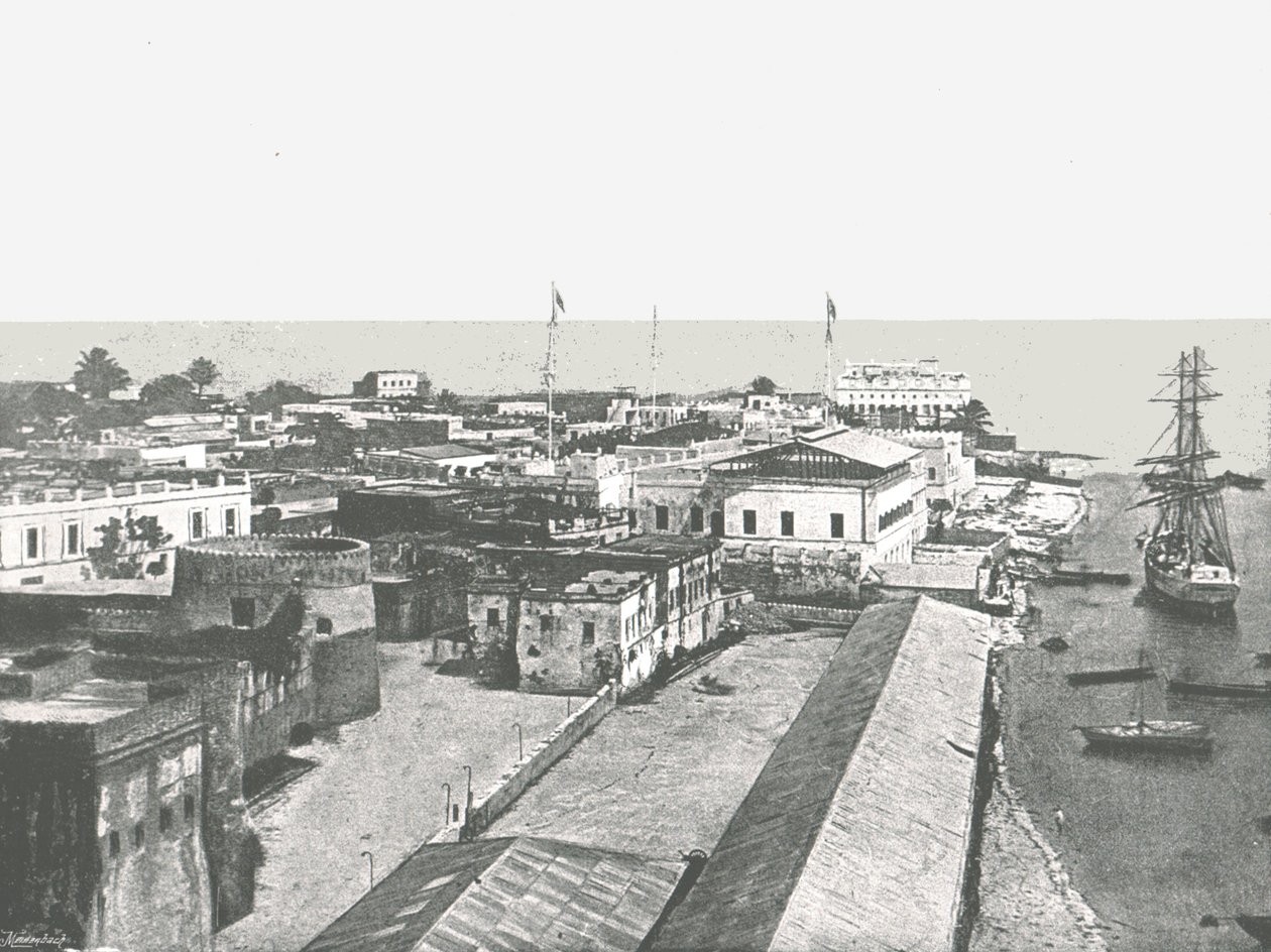 منظر عام للعاصمة ، زنجبار ، 1895. بواسطة غير معروف