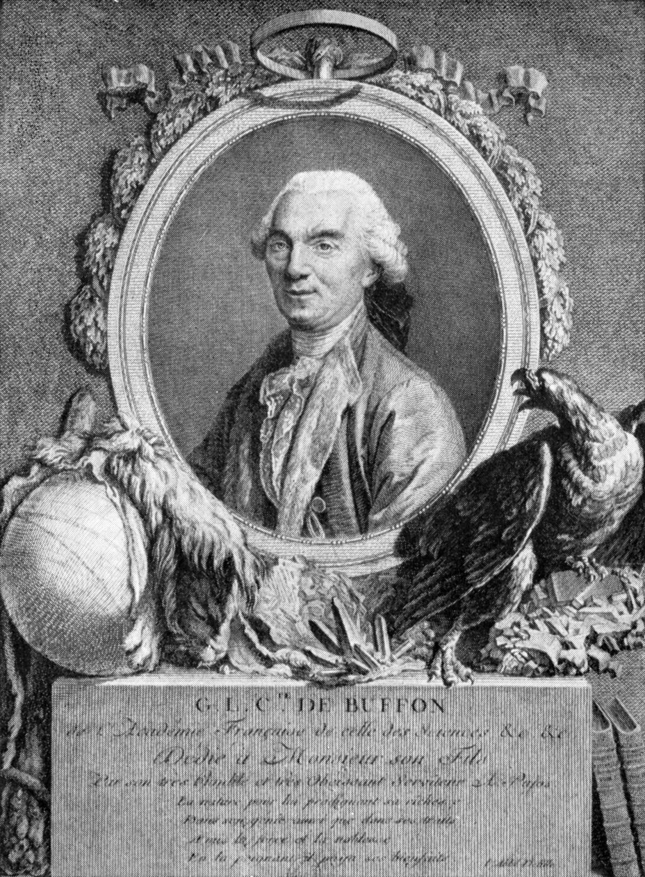 Georges-Louis Leclerc ، Comte de Buffon ، عالم الطبيعة الفرنسية ، القرن الثامن عشر بواسطة غير معروف