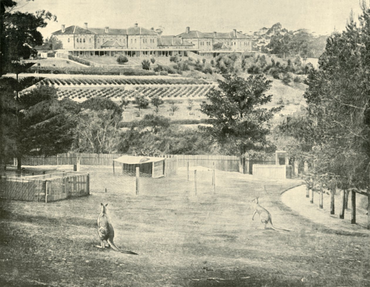 Gladesville اللجوء للمجنون ، نيو ساوث ويلز ، 1901. بواسطة غير معروف