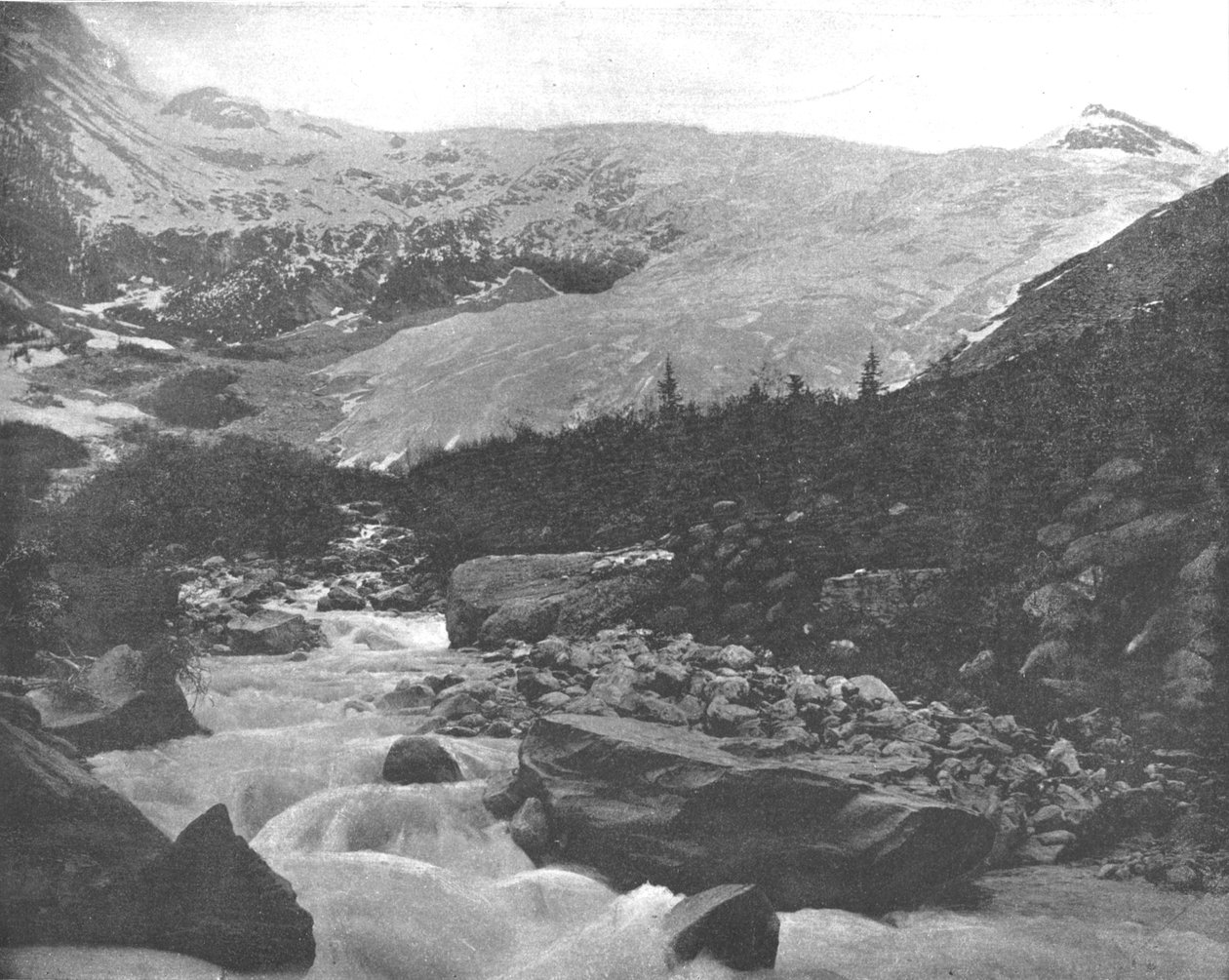 الجليدي الكبير ، جبال سيلكيرك ، كندا ، c1900. بواسطة غير معروف