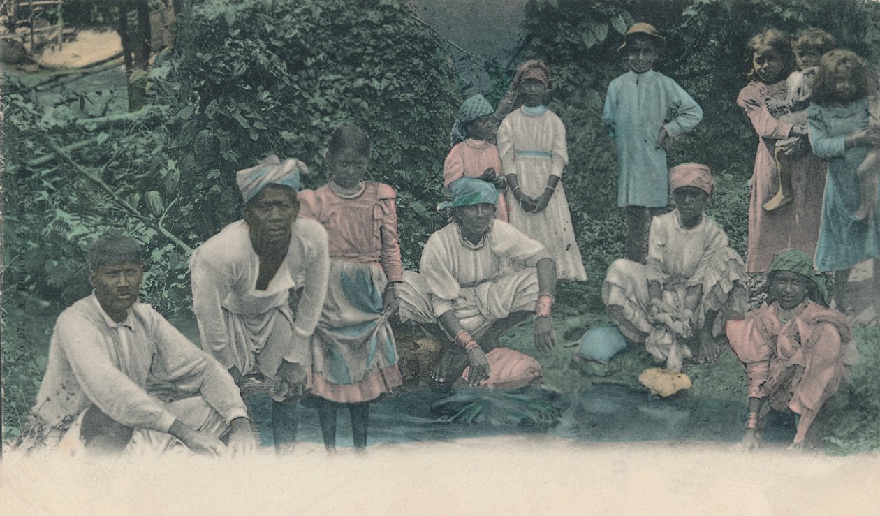 تحية من جامايكا. غسيل العصائر ، 1905. بواسطة غير معروف