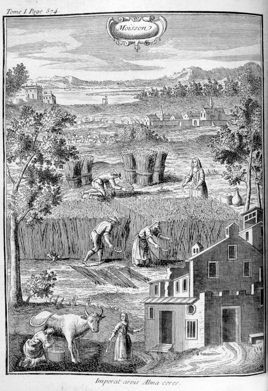 الحصاد ، 1775 بواسطة غير معروف