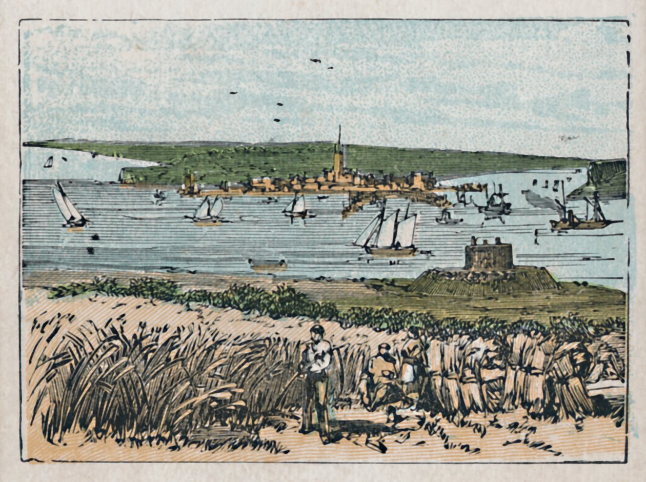 هارويتش ، c1910 بواسطة غير معروف