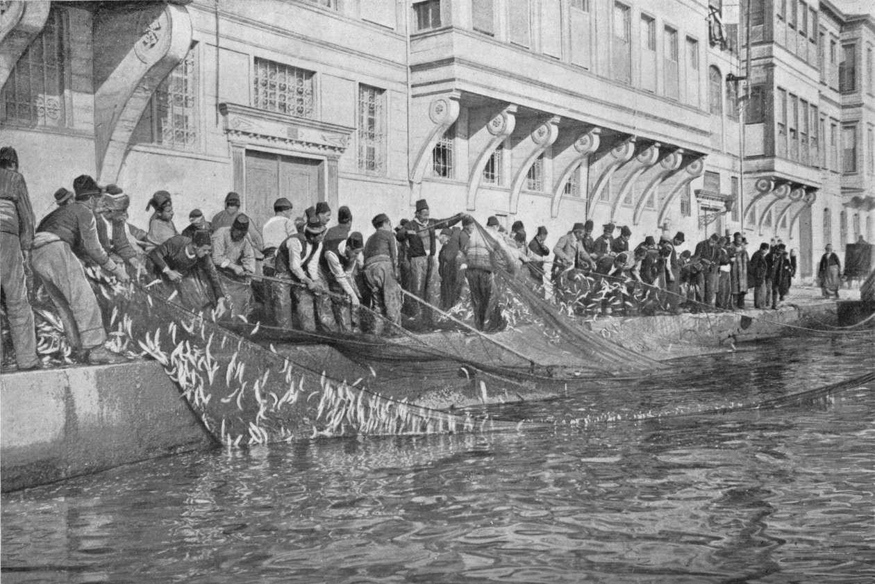 إحالة في Grippo من 15000 سمكة في إماراتي على مضيق البوسفور ، c1901 ، 1903 بواسطة غير معروف