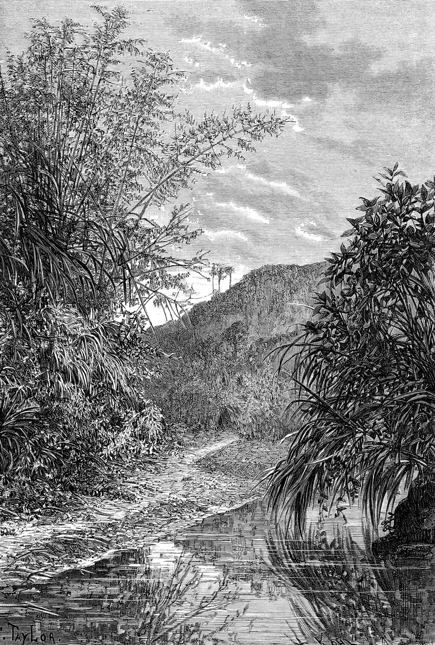 المناظر الطبيعية في المرتفعات ، فورموزا ، c1890 بواسطة غير معروف