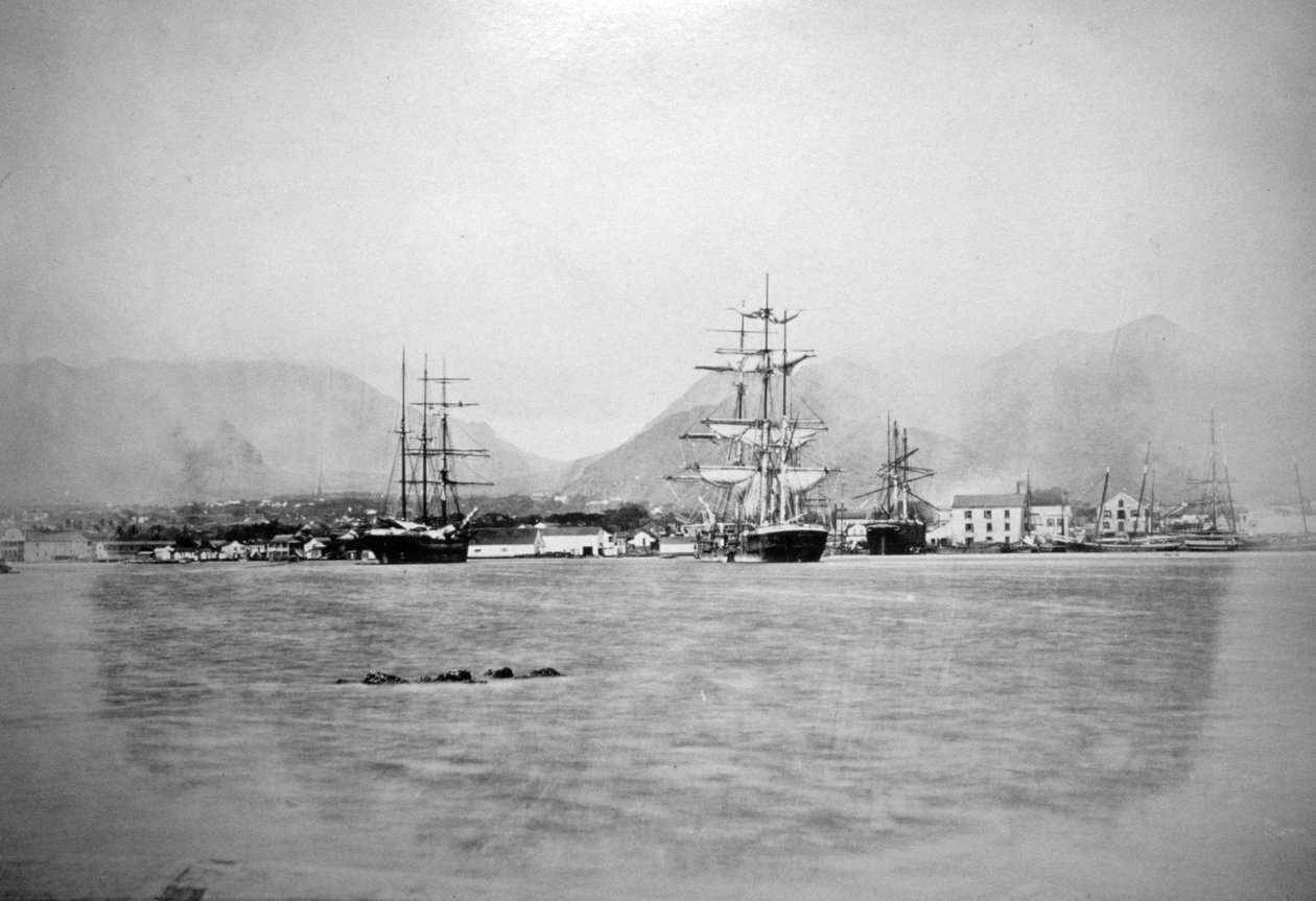 هونولولو ، هاواي ، 1885-1890 بواسطة غير معروف