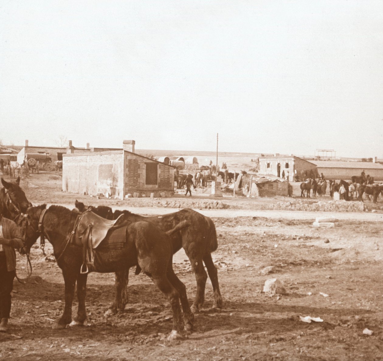 خيول ، سوم توربي ، شمال فرنسا ، c1914-c1918 بواسطة غير معروف