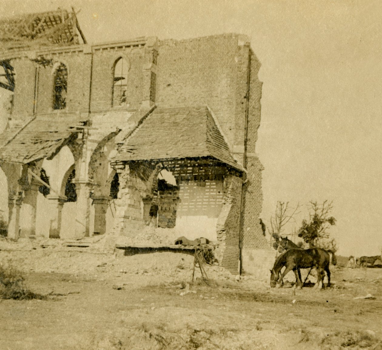 الخيول ترعى بالقرب من الكنيسة المدمرة ، فرايز ، شمال فرنسا ، c1914-c1918 بواسطة غير معروف