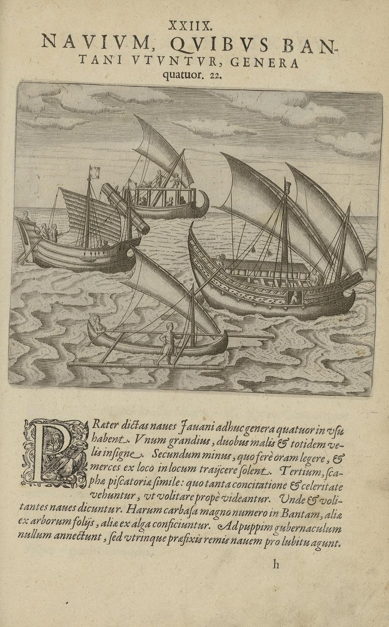 رسم توضيحي مأخوذ من كتاب India Orientalis لمؤلف غير معروف ونشره Excudebat Matthaeus Beckerus بواسطة غير معروف