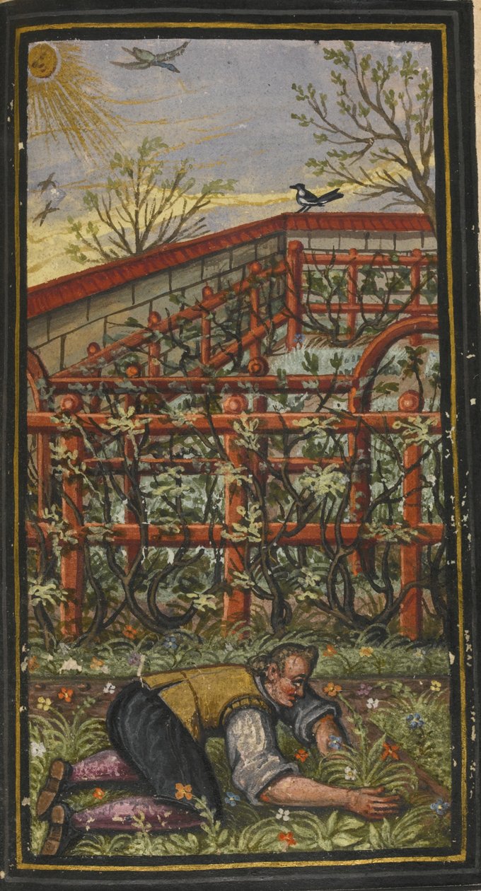 رسم توضيحي لوقت الصيف الرائع للحياة الأبدية فون يعقوب زادر ، 1603 بواسطة غير معروف