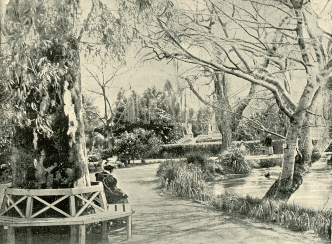 في الحدائق النباتية ، أديليد ، 1901. بواسطة غير معروف