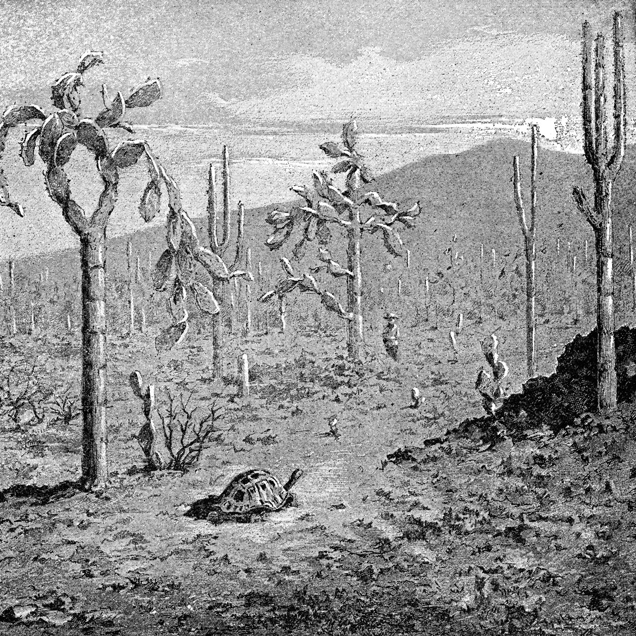 جزيرة لا تعرف الكلل ، أرخبيل غالاباغوس ، 1895 بواسطة غير معروف