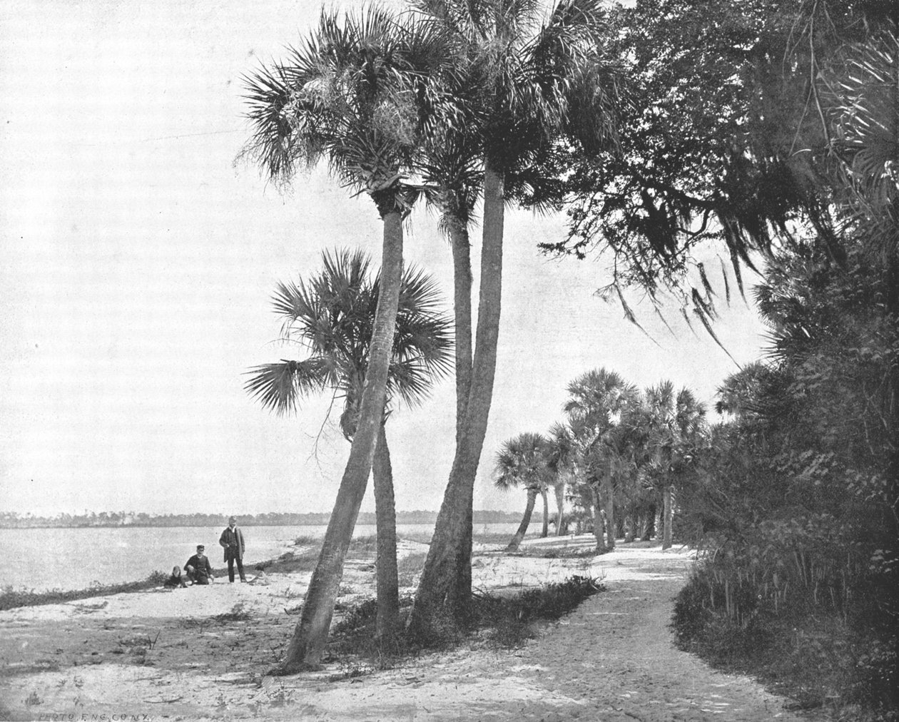 النهر الهندي ، فلوريدا ، الولايات المتحدة الأمريكية ، c1900. بواسطة غير معروف