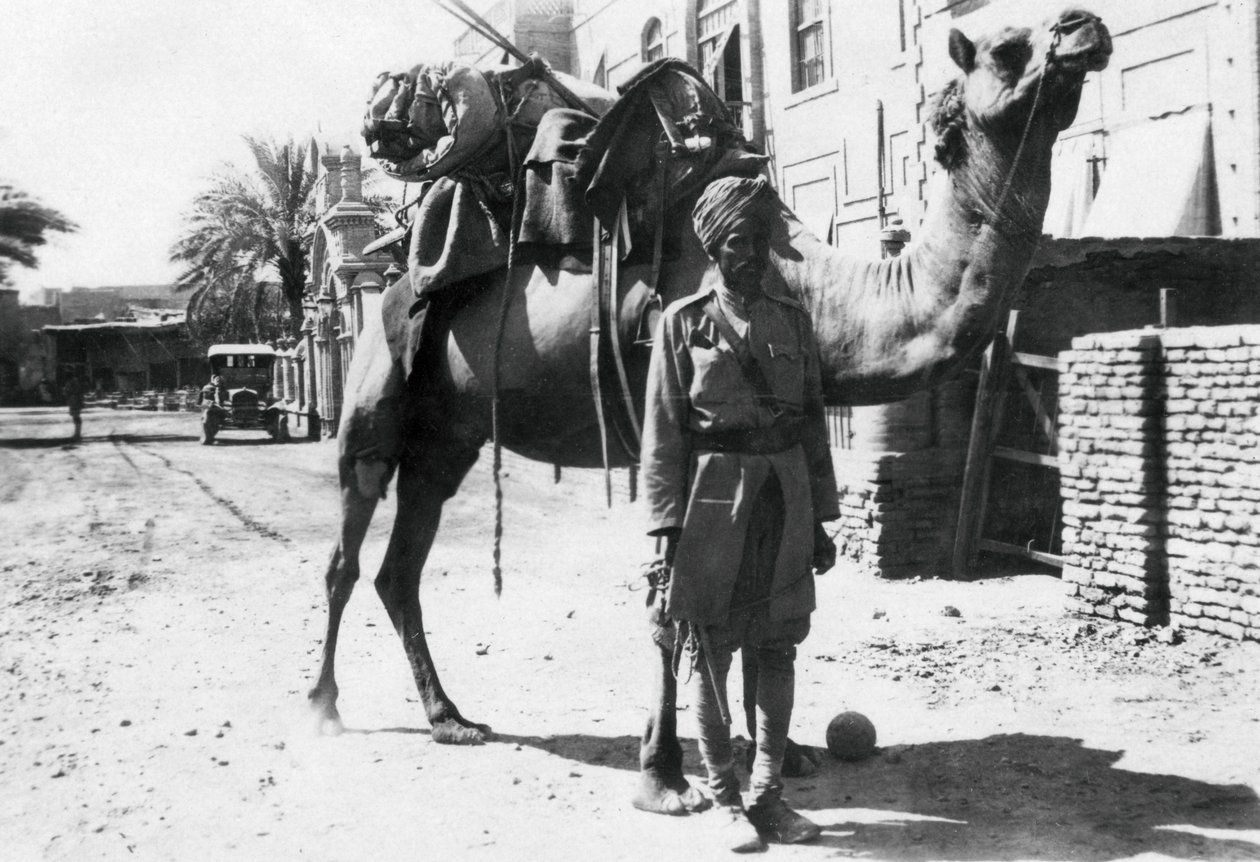 جندي إبل هندي ، بغداد ، 1918 بواسطة غير معروف