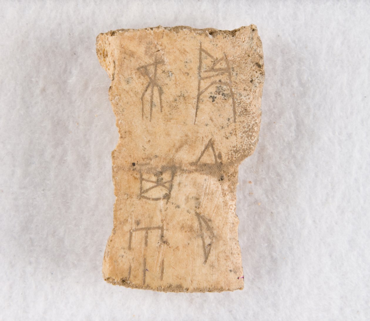 جزء عظمي منقوش أوراكل عظم ، أواخر عهد أسرة شانغ ، كاليفورنيا. 1300-1050 قبل الميلاد. بواسطة غير معروف