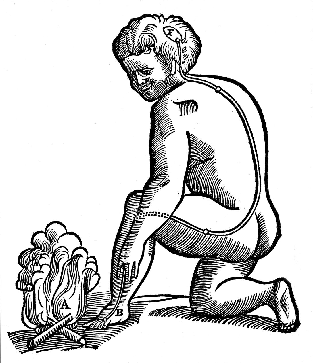 الحركة اللاإرادية ، فكرة ديكارت حول كيفية وصول النبضات من الأطراف إلى الدماغ ، 1692 بواسطة غير معروف