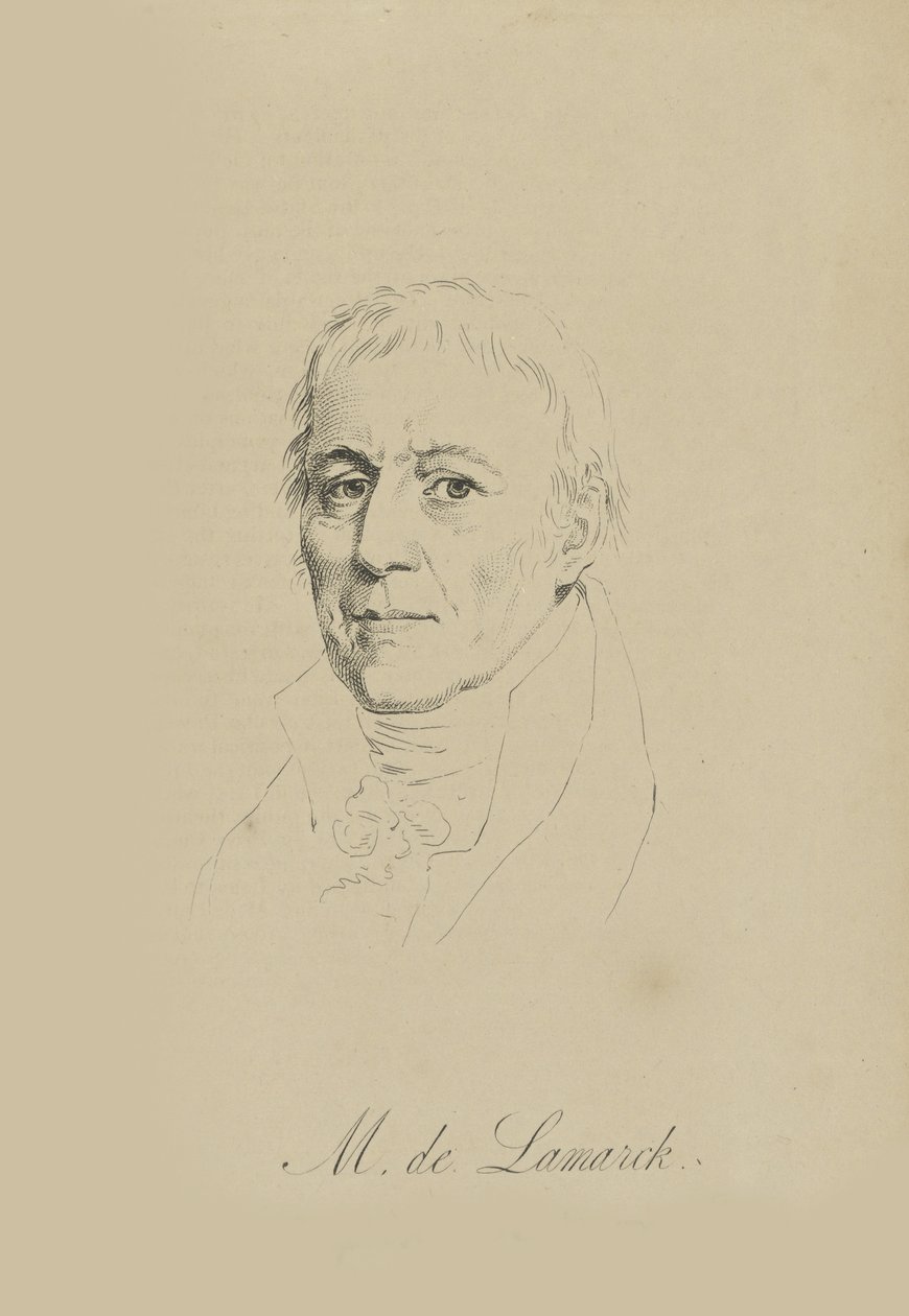 جان بابتيست بيير أنطوان دي مونيه ، Chevalier de Lamarck 1744-1829 ، ج. 1810. بواسطة غير معروف
