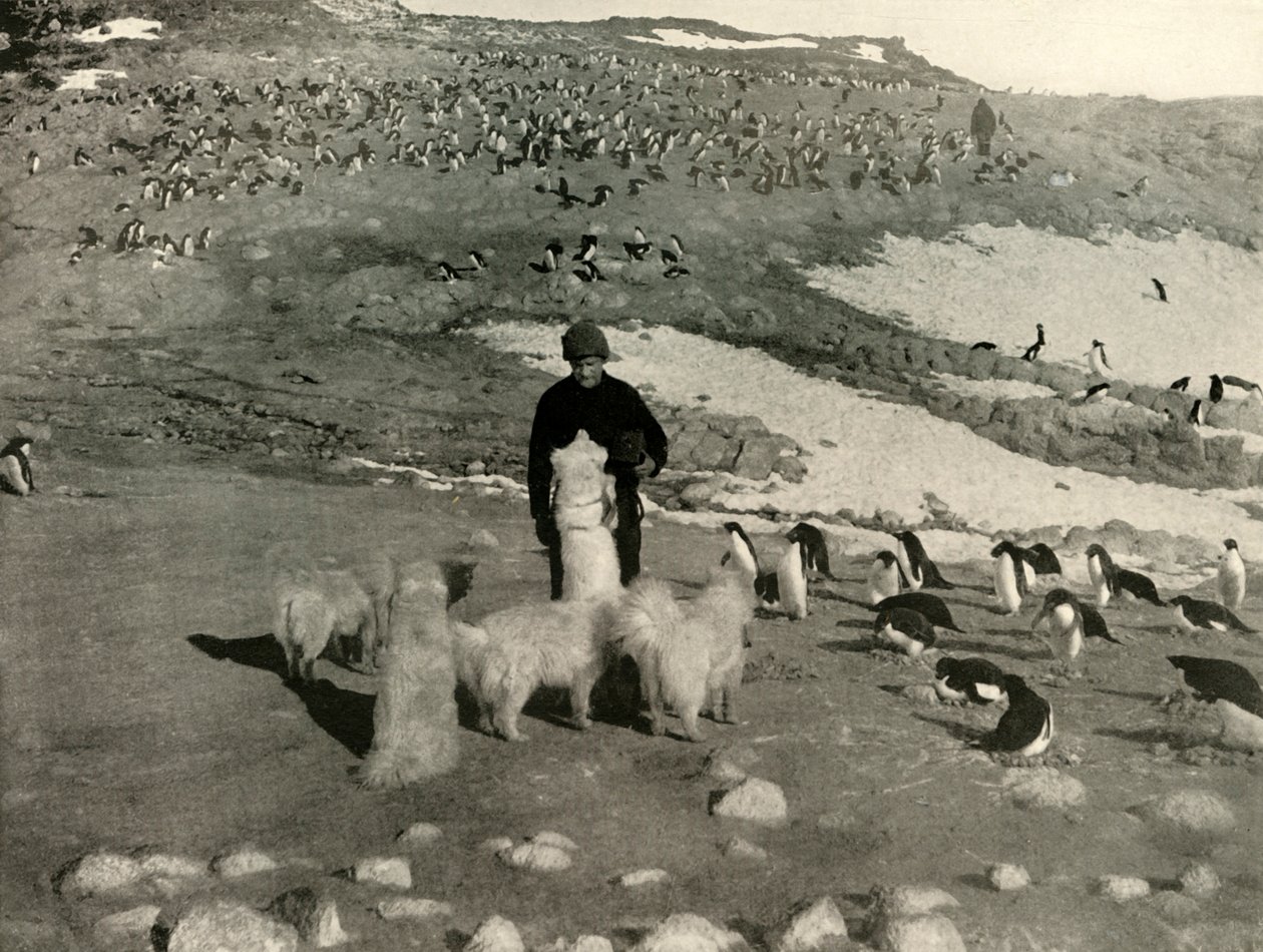 جويس والكلاب في Penguin Rookery ، c1908 ، 1909. بواسطة غير معروف