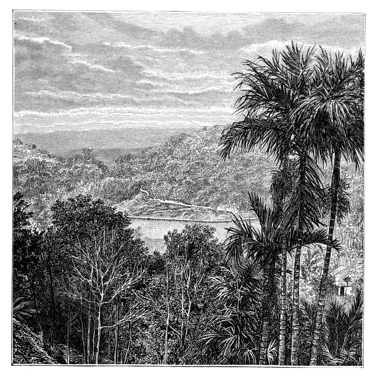 كاندي مها نوفارا ، سريلانكا ، 1895 بواسطة غير معروف