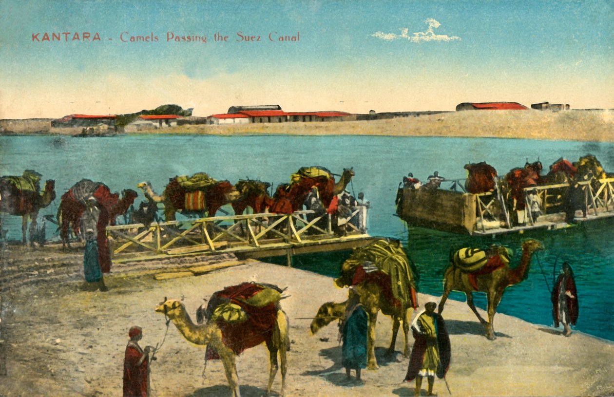 القنطرة - الإبل المارة لقناة السويس c1918-c1939. بواسطة غير معروف