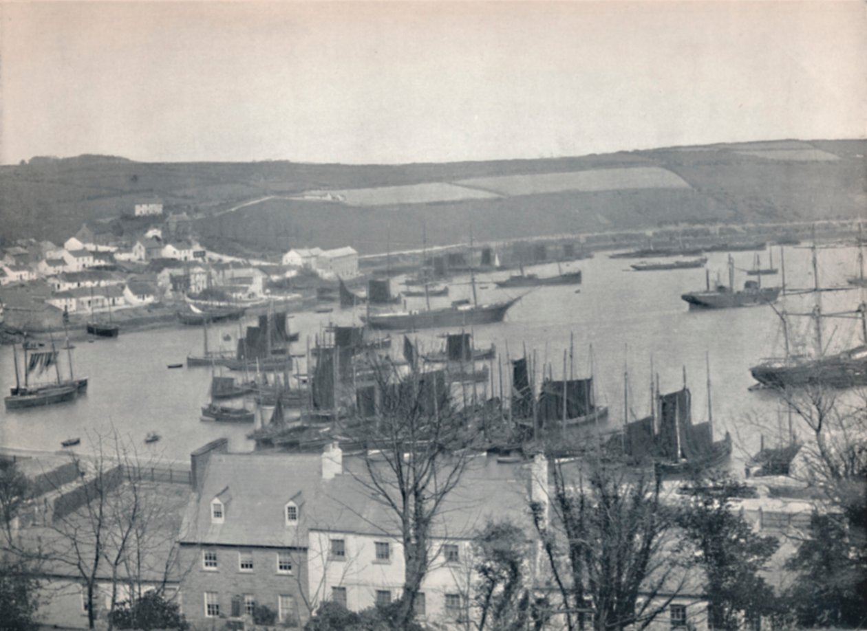Kinsale - أسطول صيد في الميناء ، 1895 بواسطة غير معروف