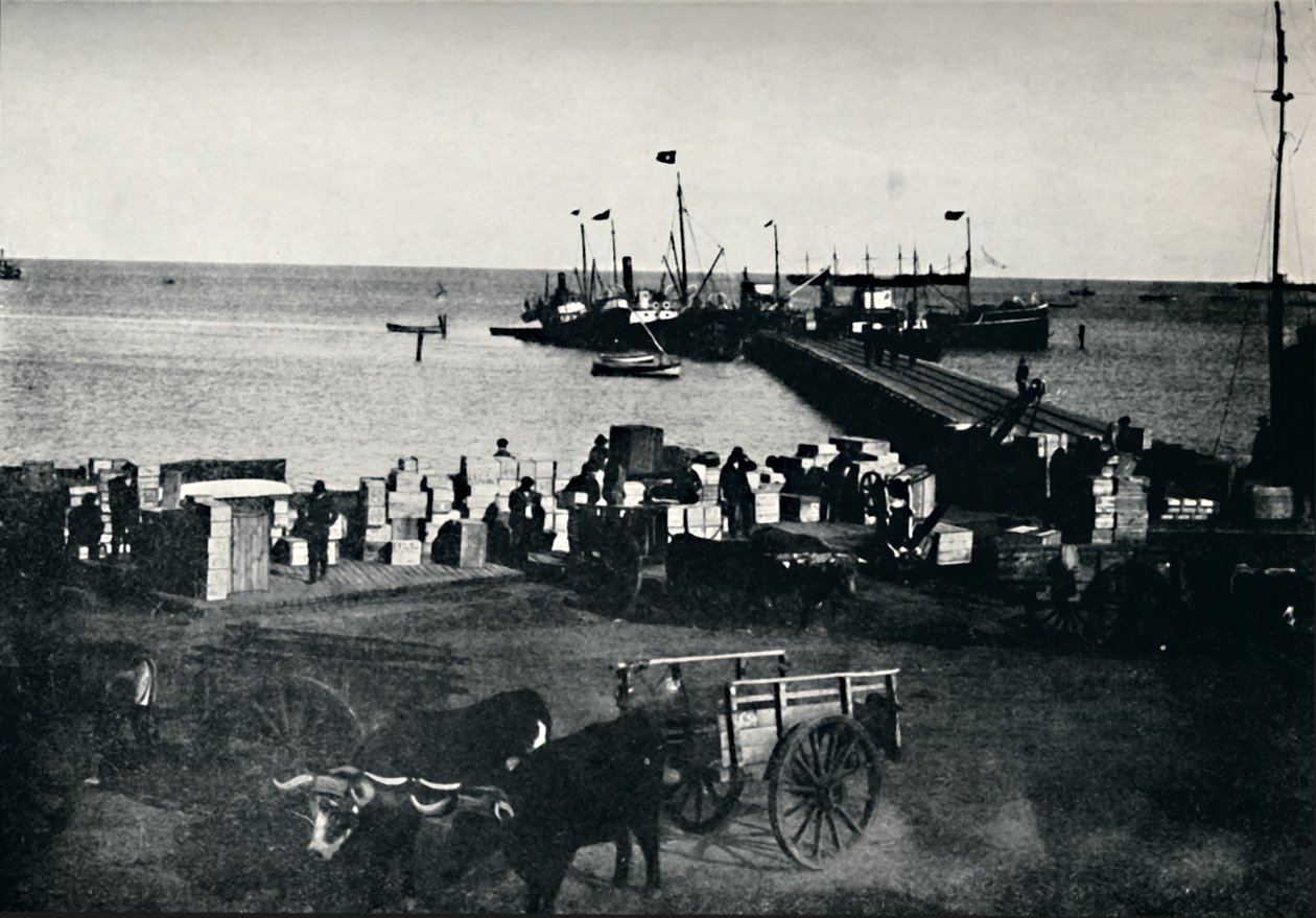 مكان الهبوط ، بونتا أريناس ، 1911 بواسطة غير معروف