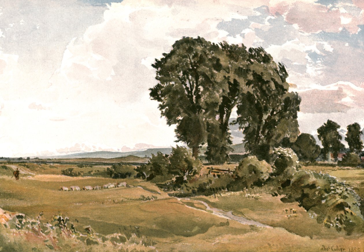 منظر طبيعي ، بالقرب من ويرهام ، دورست - رسم خارجي ، c1900. بواسطة غير معروف