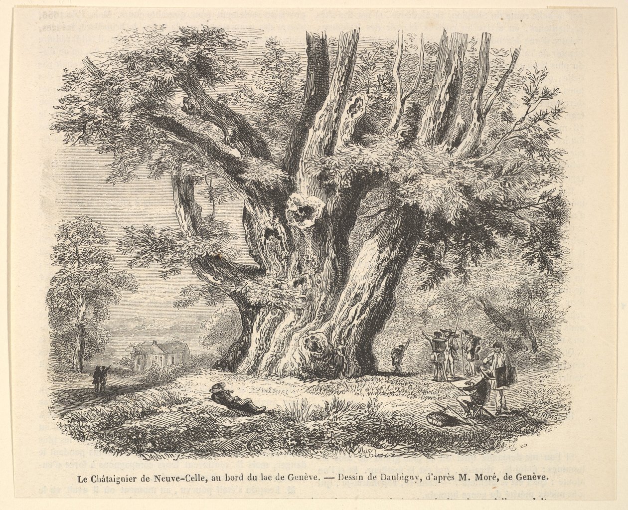 Le Châtaignier de Neuve-Celle ، على ضفاف بحيرة جنيف ، بعد Daubigny ، 1835-1878. بواسطة غير معروف