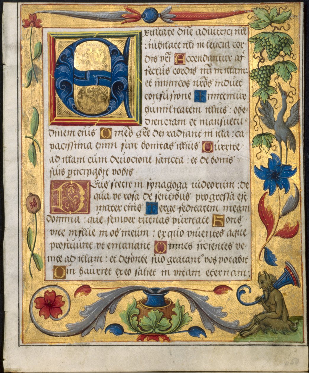 ورقة من سفر المزامير وكتاب الصلاة: حرف E الأولي مع حدود الزينة ... recto، c. 1524. بواسطة غير معروف