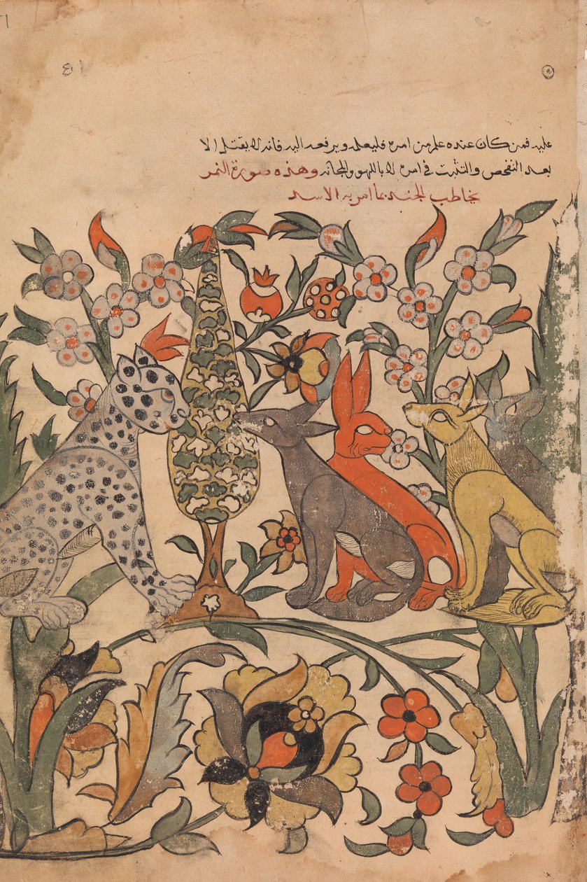 ليوبارد يحمل وسام الأسد لزملائه القضاة ، ظهر الورقة 51 من كليلة ودمنة ، القرن الثامن عشر. بواسطة غير معروف