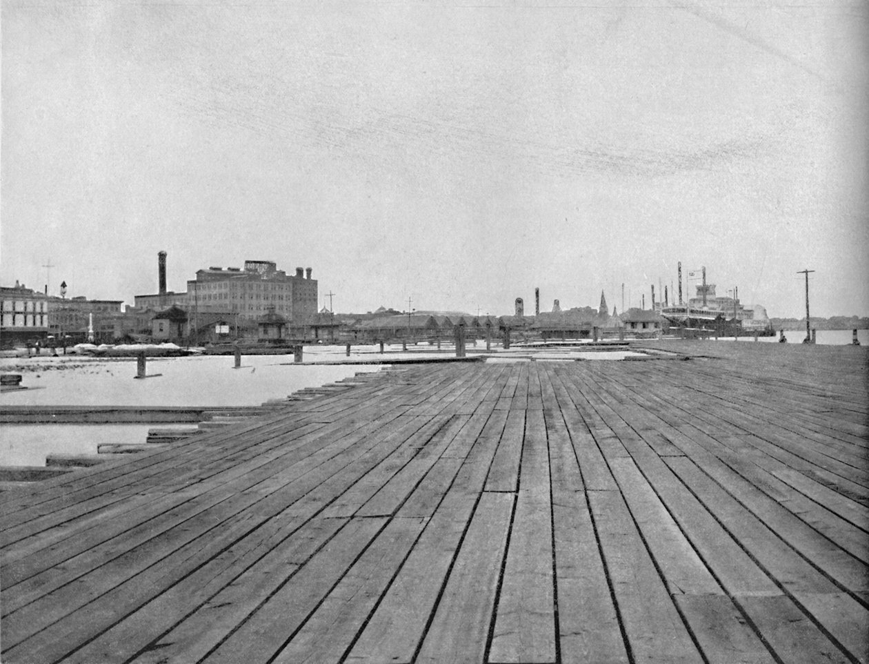 Levee و Steamboat Landing ، نيو أورلينز ، c1897. بواسطة غير معروف