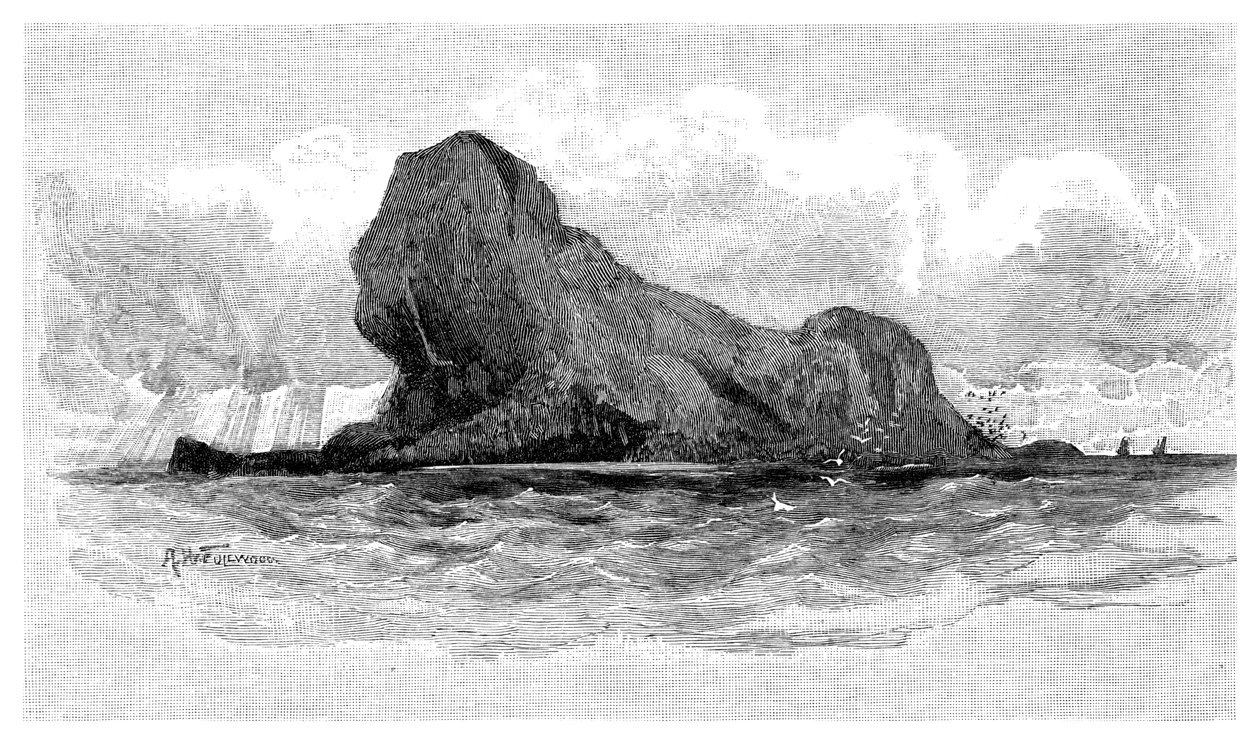 جزيرة الأسد ، أستراليا ، 1886 بواسطة غير معروف