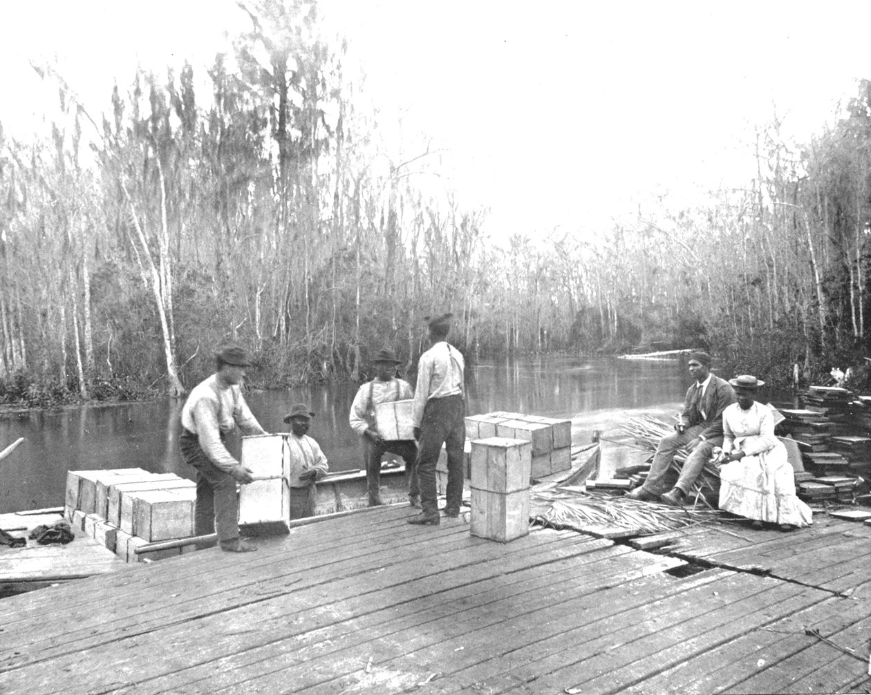 تحميل البرتقال على نهر Ocklawaha River ، فلوريدا ، الولايات المتحدة الأمريكية ، c1900. بواسطة غير معروف
