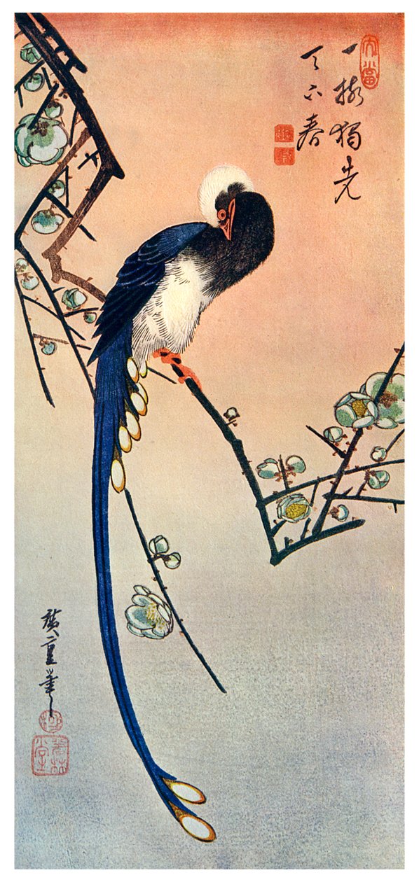 طائر أزرق طويل الذيل على فرع من شجرة البرقوق في زهرة ، القرن التاسع عشر 1925 بواسطة غير معروف