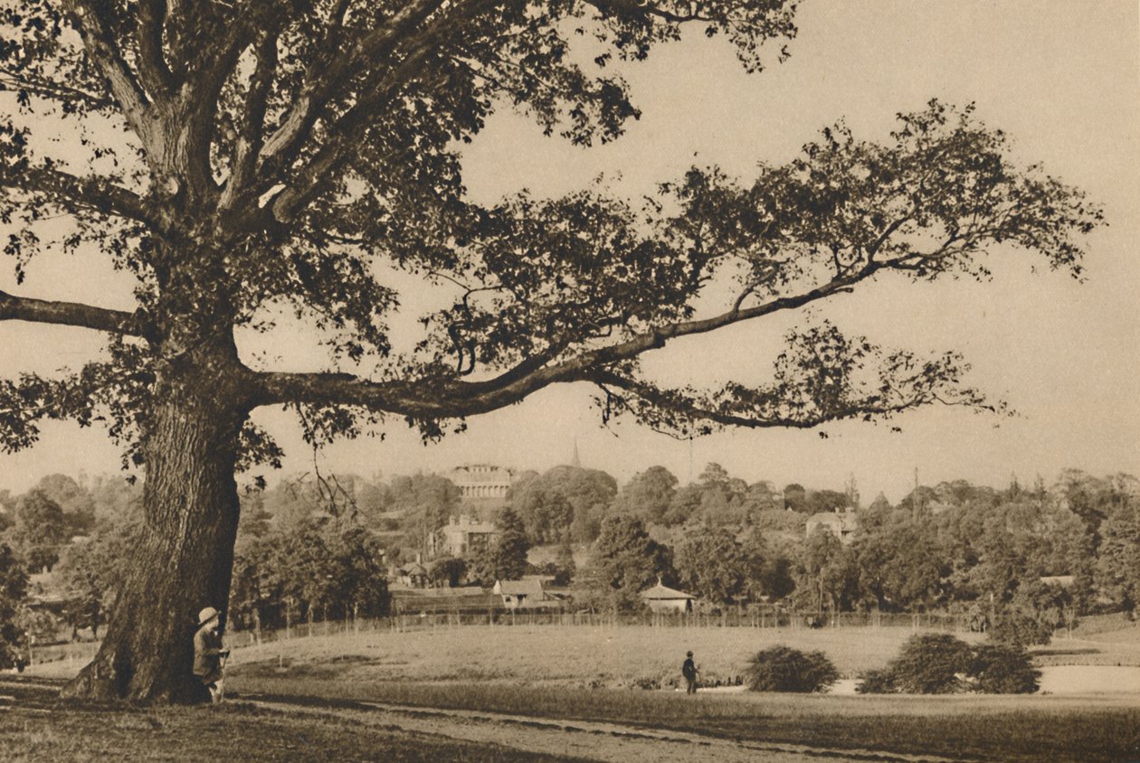 النظر من المنحدرات الخضراء لخشب كاين نحو برج الكنيسة في Old Highgate ، c1935. بواسطة غير معروف