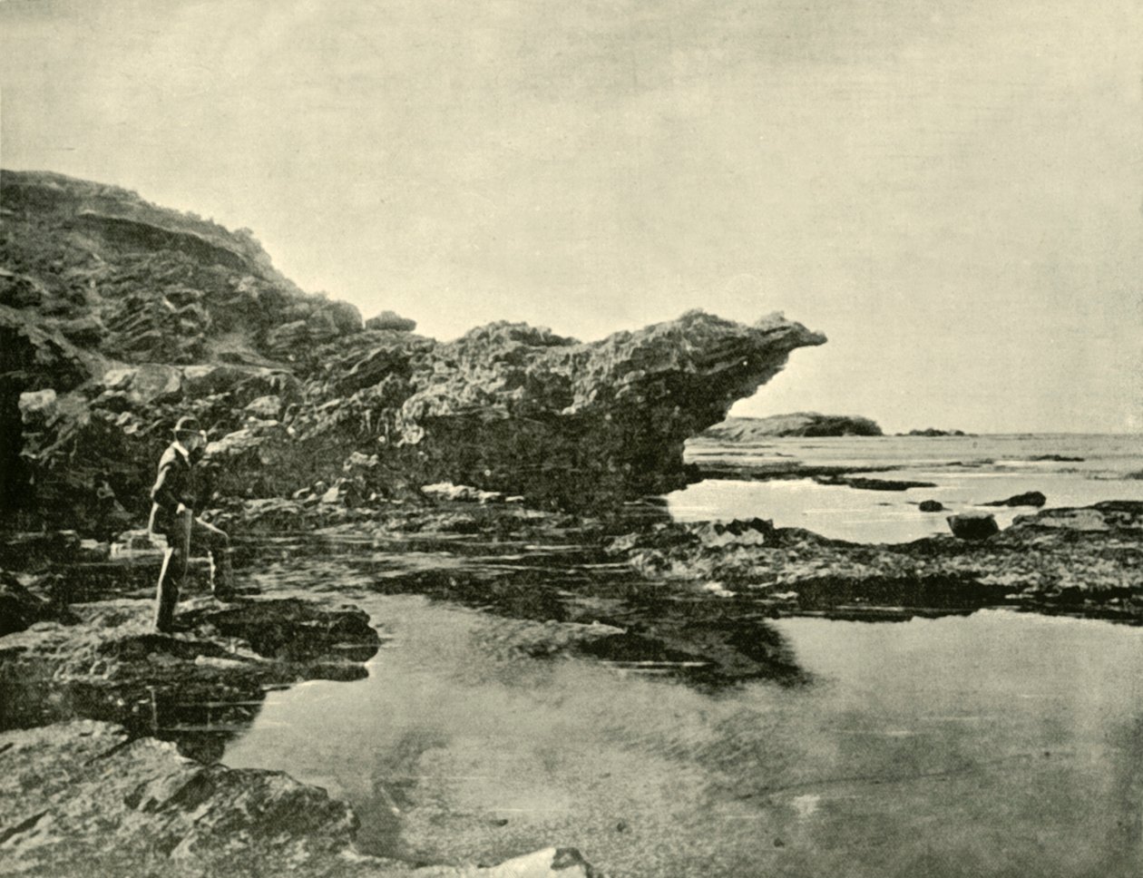 لو تايد ، شاطئ شيلي ، وارنامبول ، 1901. بواسطة غير معروف