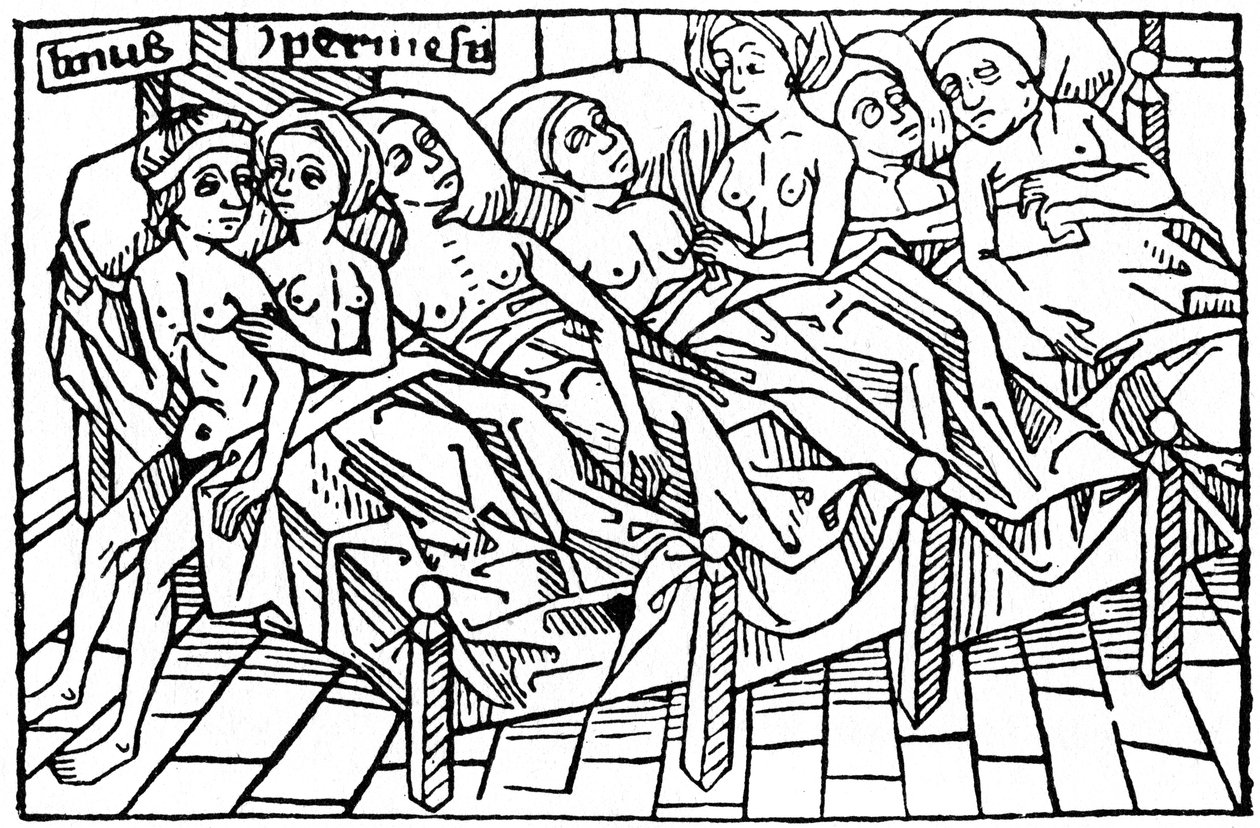 Lynceus و Hypermnestra ، 1479 1964. بواسطة غير معروف