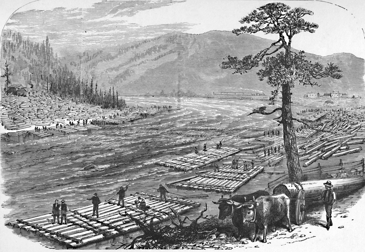 تشكل الطوافات على نهر سسكويهانا. مشهد على خط سكة حديد إيري ، 1883 بواسطة غير معروف