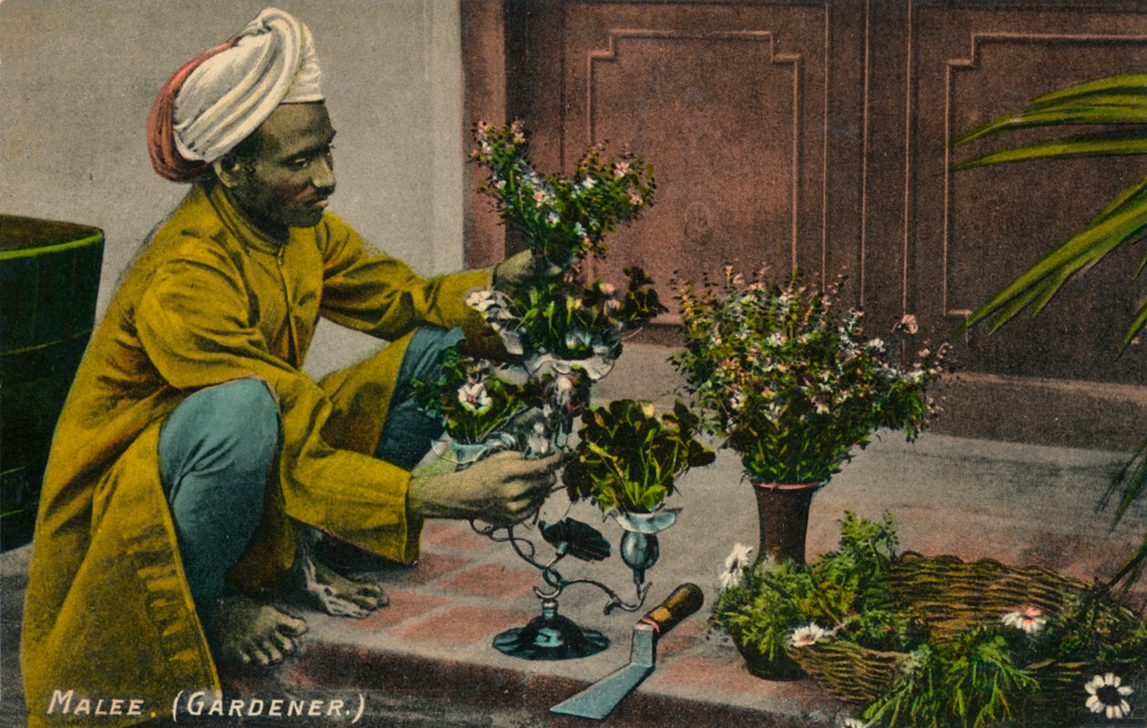 مالي بستاني ، c1900 بواسطة غير معروف