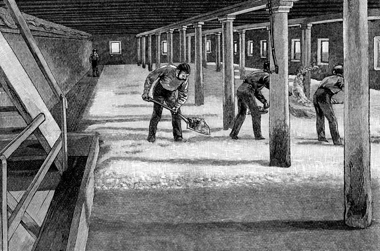 أرضية الشعير في مصنع بيرة أمريكي ، 1885 بواسطة غير معروف