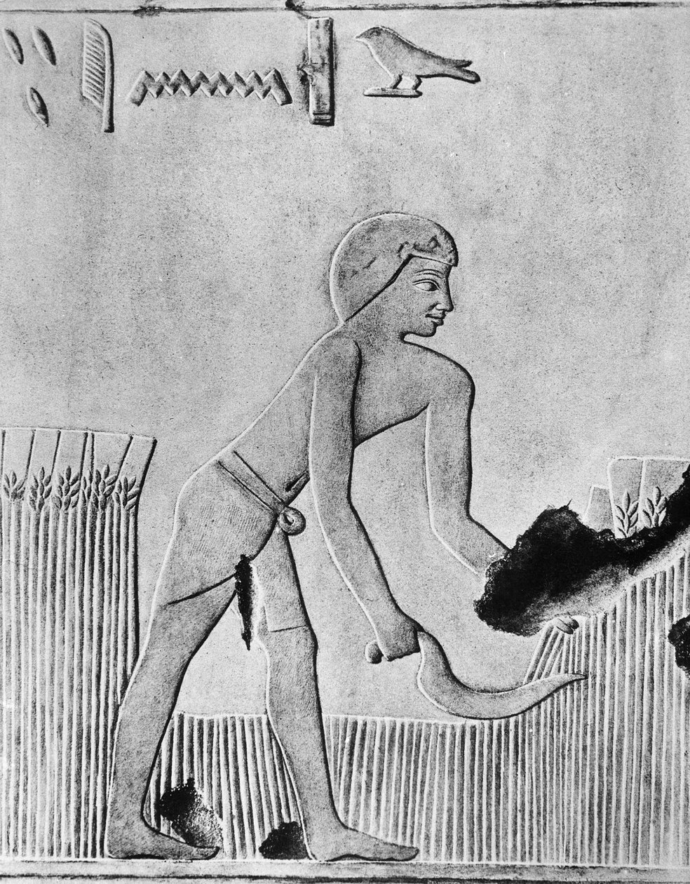 رجل يحصد الشعير بمنجل ، على الأرجح من خشب مع صوان ، مصري قديم ، c240 قبل الميلاد بواسطة غير معروف