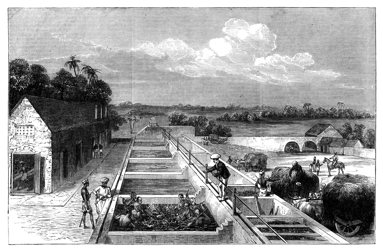 تصنيع النيلة في Tirhoot Muzaffarpur ، البنغال السفلى ، 1869 بواسطة غير معروف