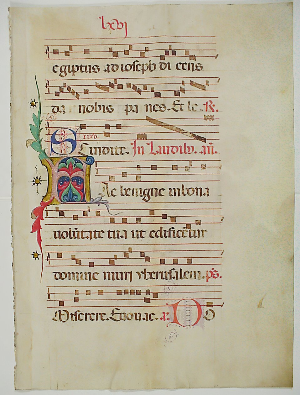 ورقة مخطوطة بالخط الأول أ ، من Antiphonary ، الإيطالي ، القرن الخامس عشر. بواسطة غير معروف
