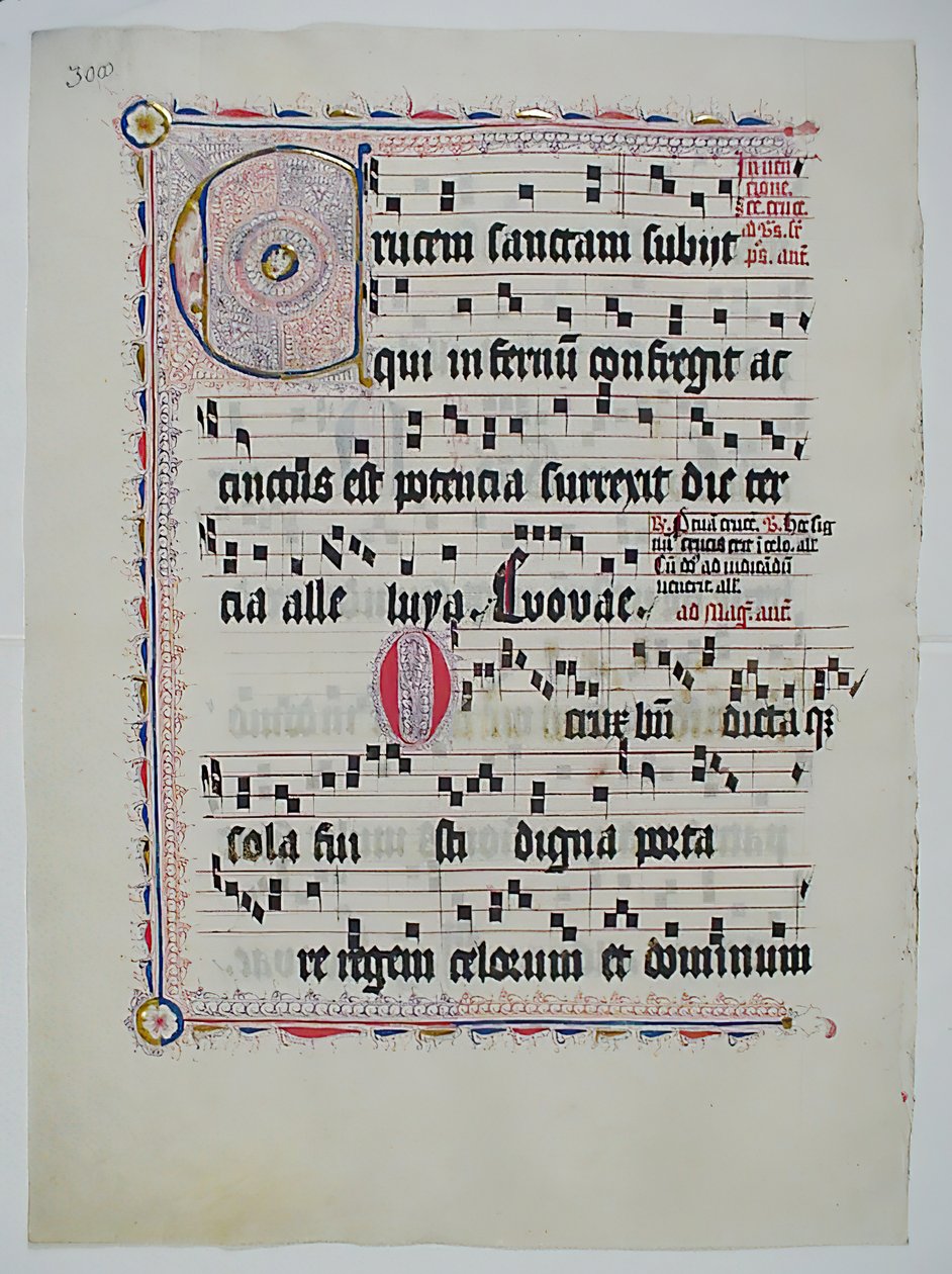 ورقة مخطوطة تحمل الحرف الأول C ، من Antiphonary ، ألماني ، الربع الثاني من القرن الخامس عشر. بواسطة غير معروف